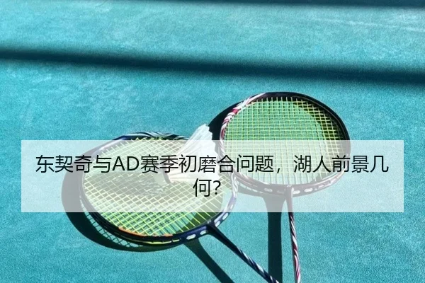 东契奇与AD赛季初磨合问题，湖人前景几何？